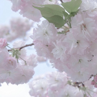 Furry兽圈经典作品解读福瑞交流群